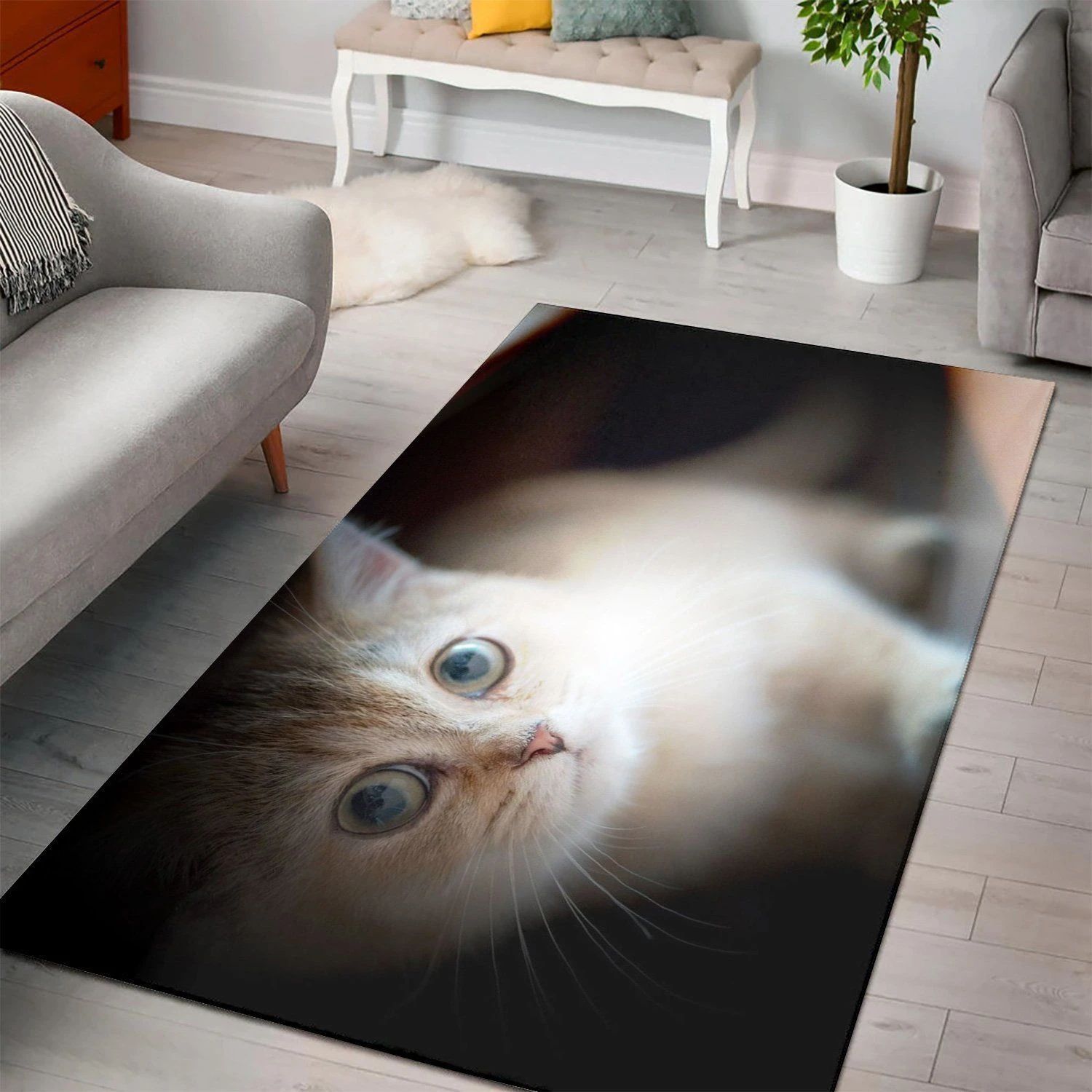 British Shorthair Closeup Living Room Area Rug, Room Rugs, Floor Decor Home Decor - Indoor Outdoor Rugs