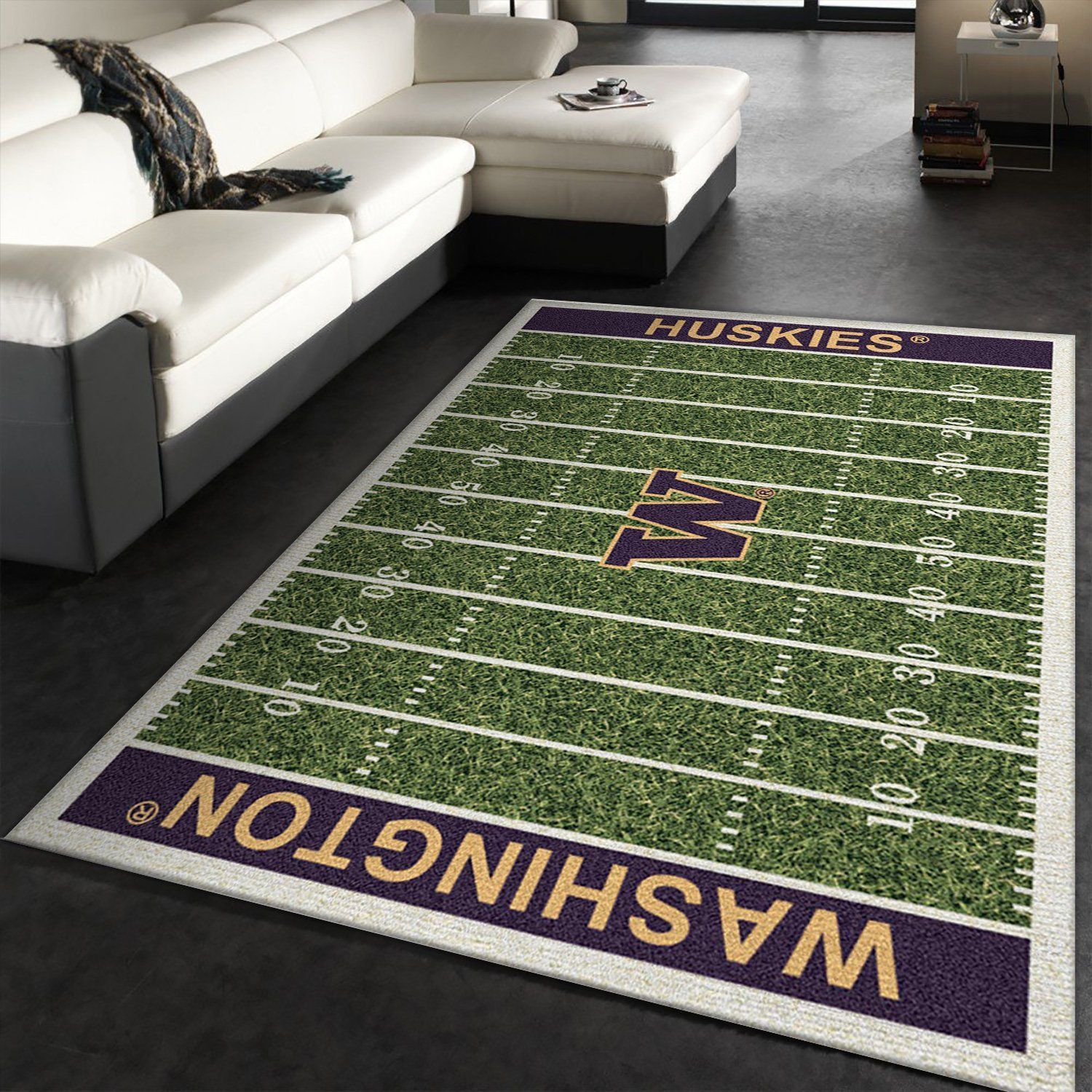 College NFL Team Logo Area Rug, Living Room Rug, Home Decor Floor Decor - Indoor Outdoor Rugs