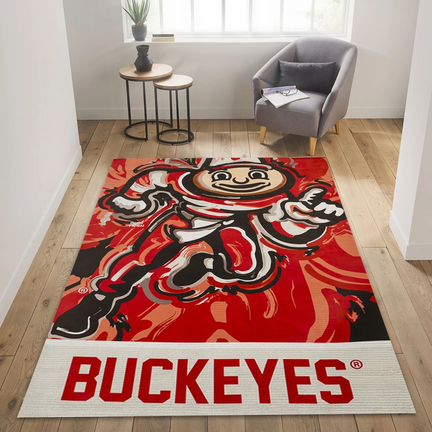 Ohio State Buckeyes  House Flag College Team Area Rug Carpet, Living Room Rug - Floor Decor - Indoor Outdoor Rugs