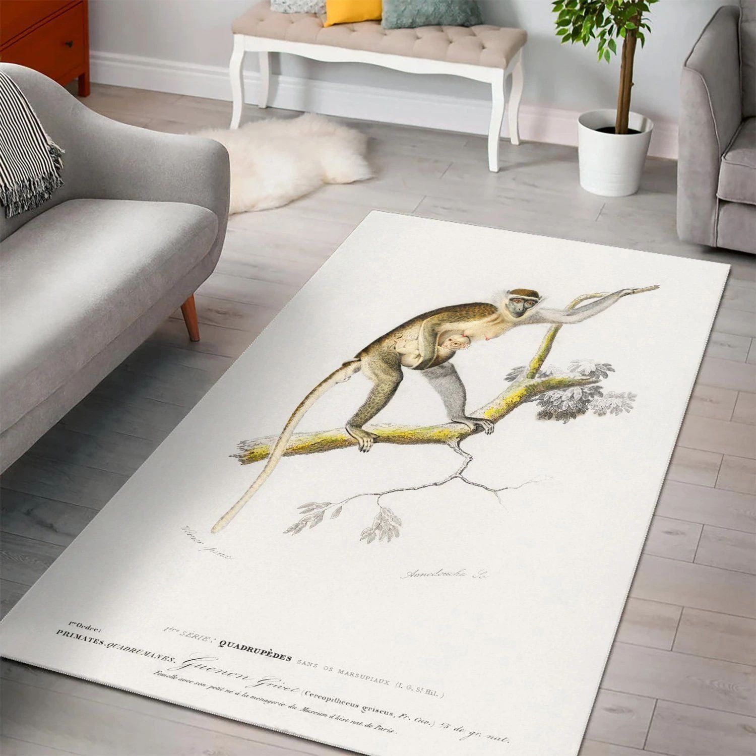 Cercopithecus Griseus Guen  Living Room Area Rug,  Room Rugs, Floor Decor Home Decor - Indoor Outdoor Rugs