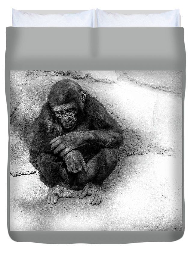 Deep Thought Bedroom Duvet Cover Bedding Sets