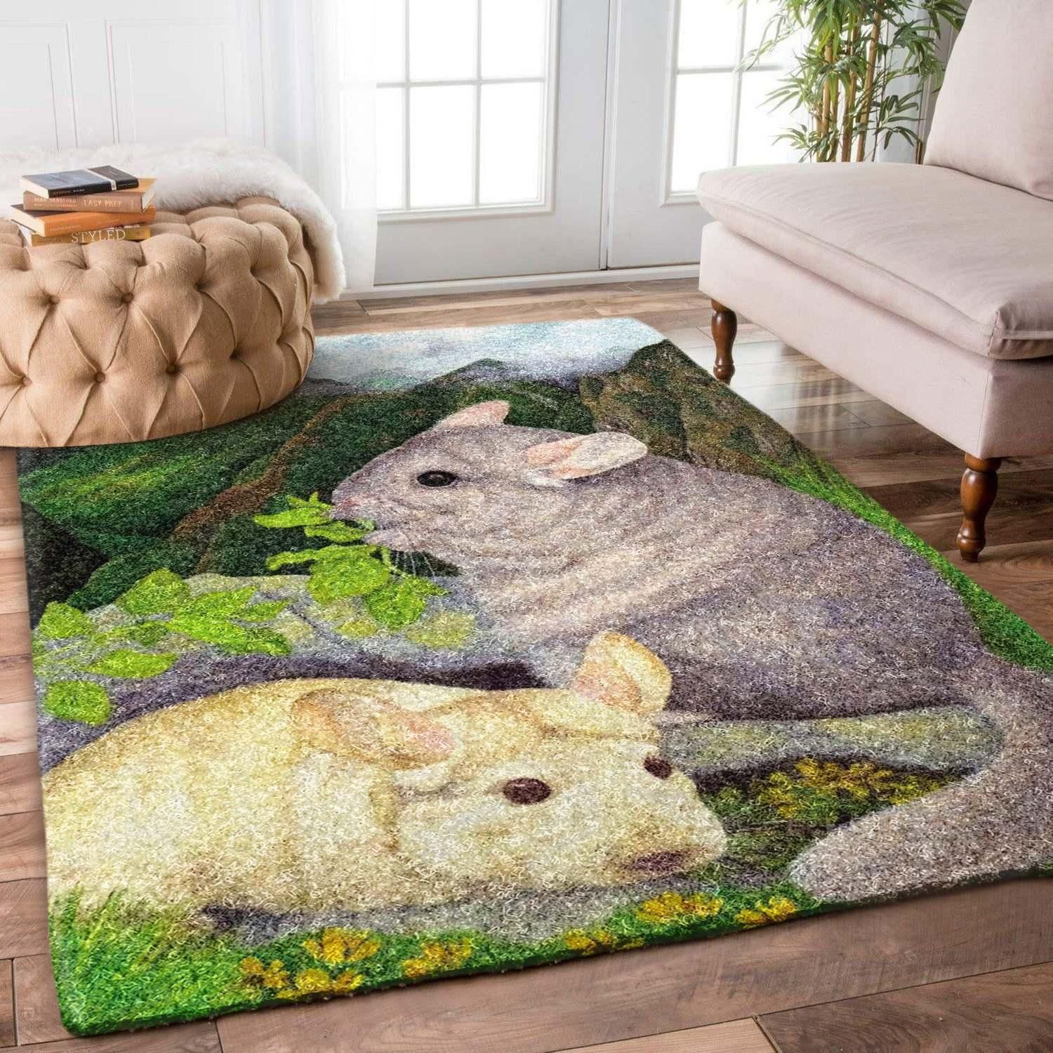 Chinchilla Rug - Indoor Outdoor Rugs