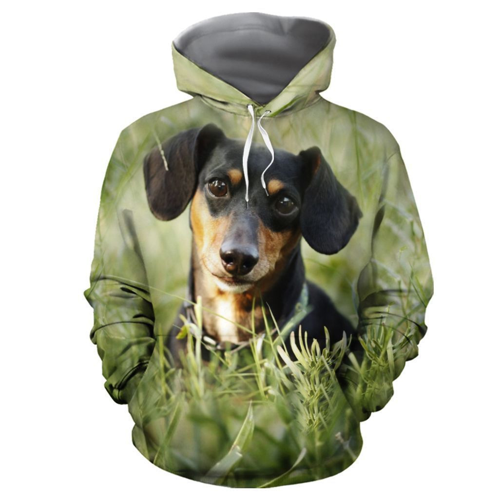 Dachshund 3D Hoodie Bt04 #3172