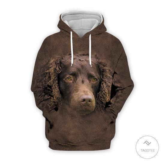 American Water Spaniel 3D All Over Print Hoodie