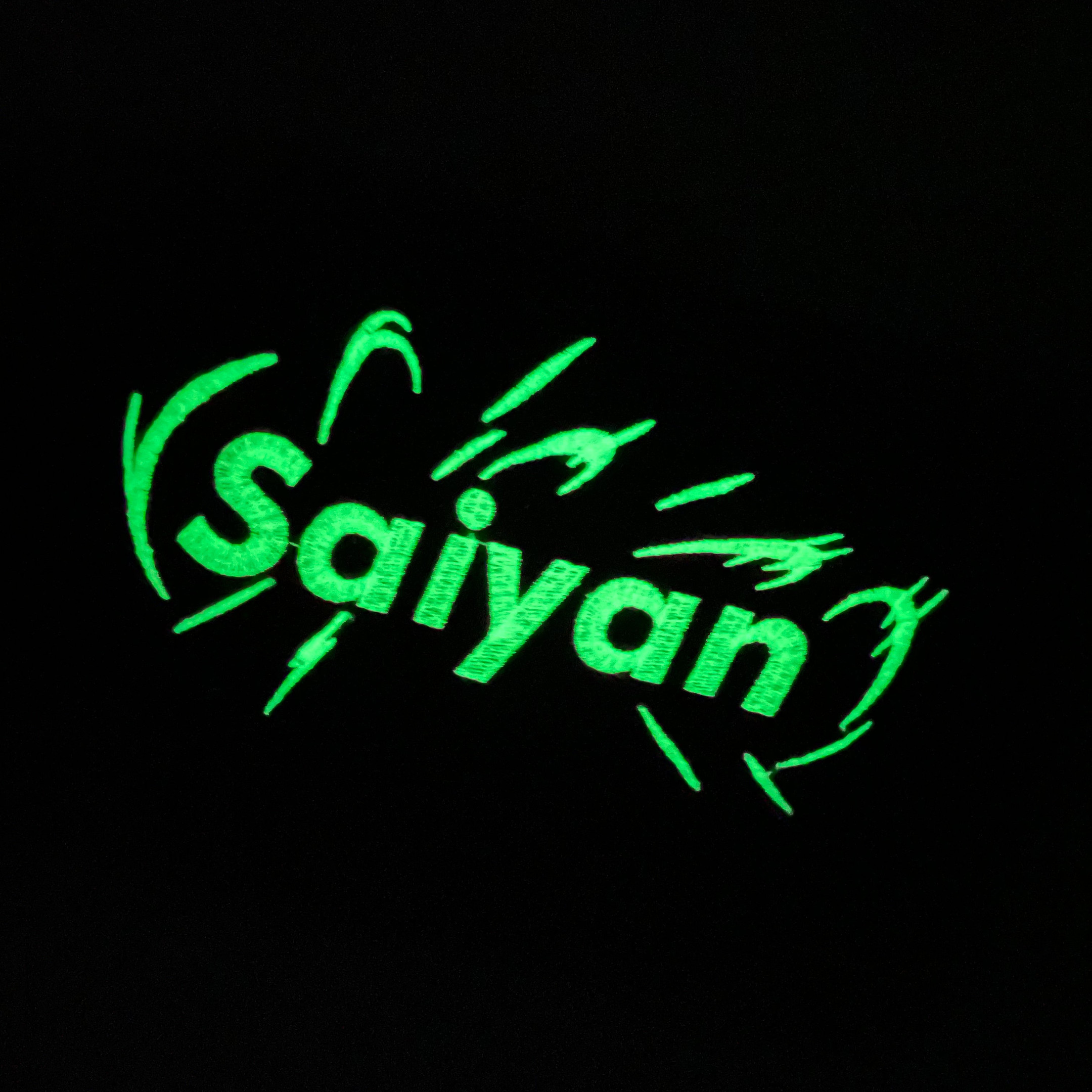 Glow In The Dark Dragon Ball Z Saiyan Embroidered Sweatshirt Hoodie