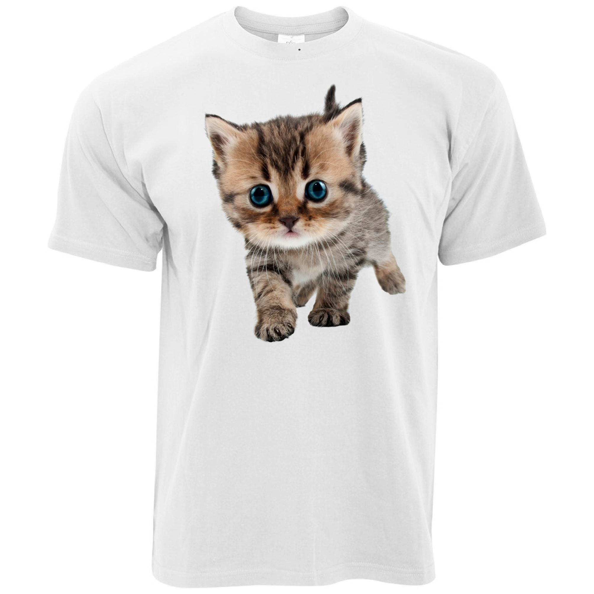 Cute Cat Kitten T Shirt