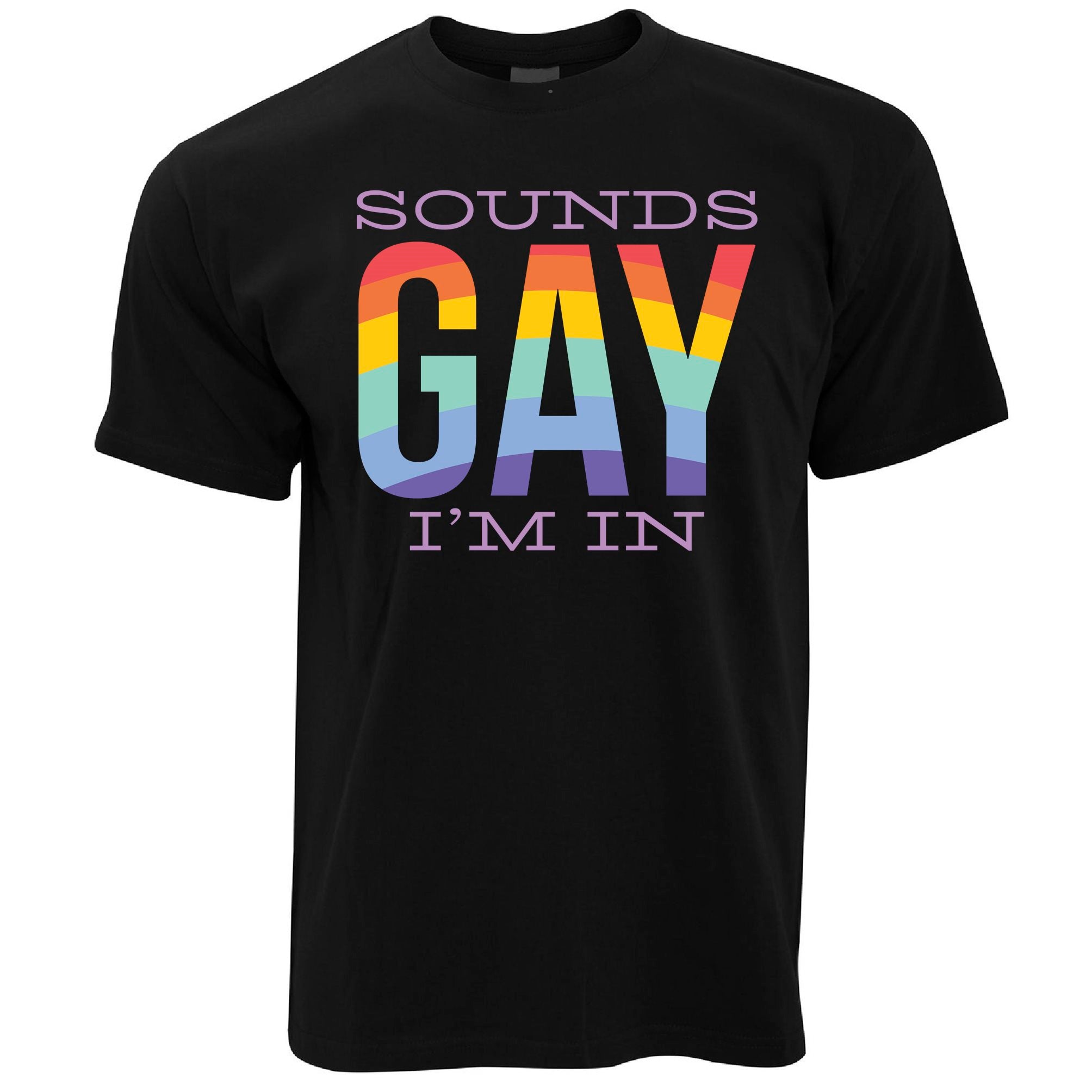 Pride T Shirt Sounds Gay I'm In Rainbow