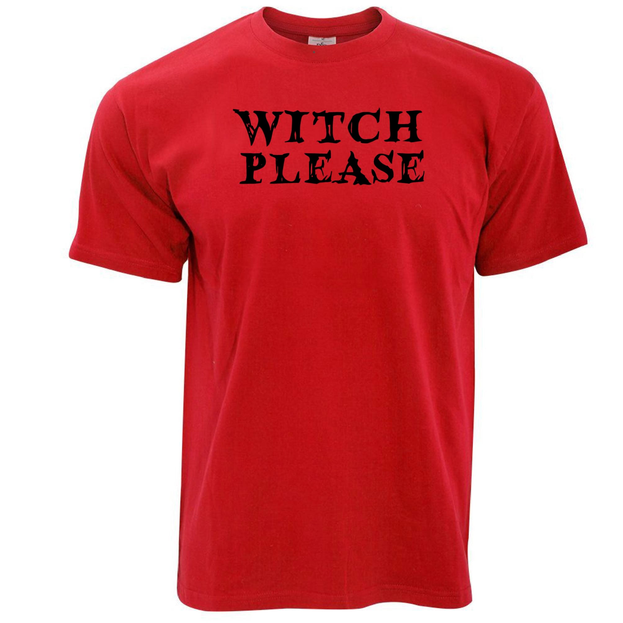 Novelty Halloween T Shirt Witch Please Slogan