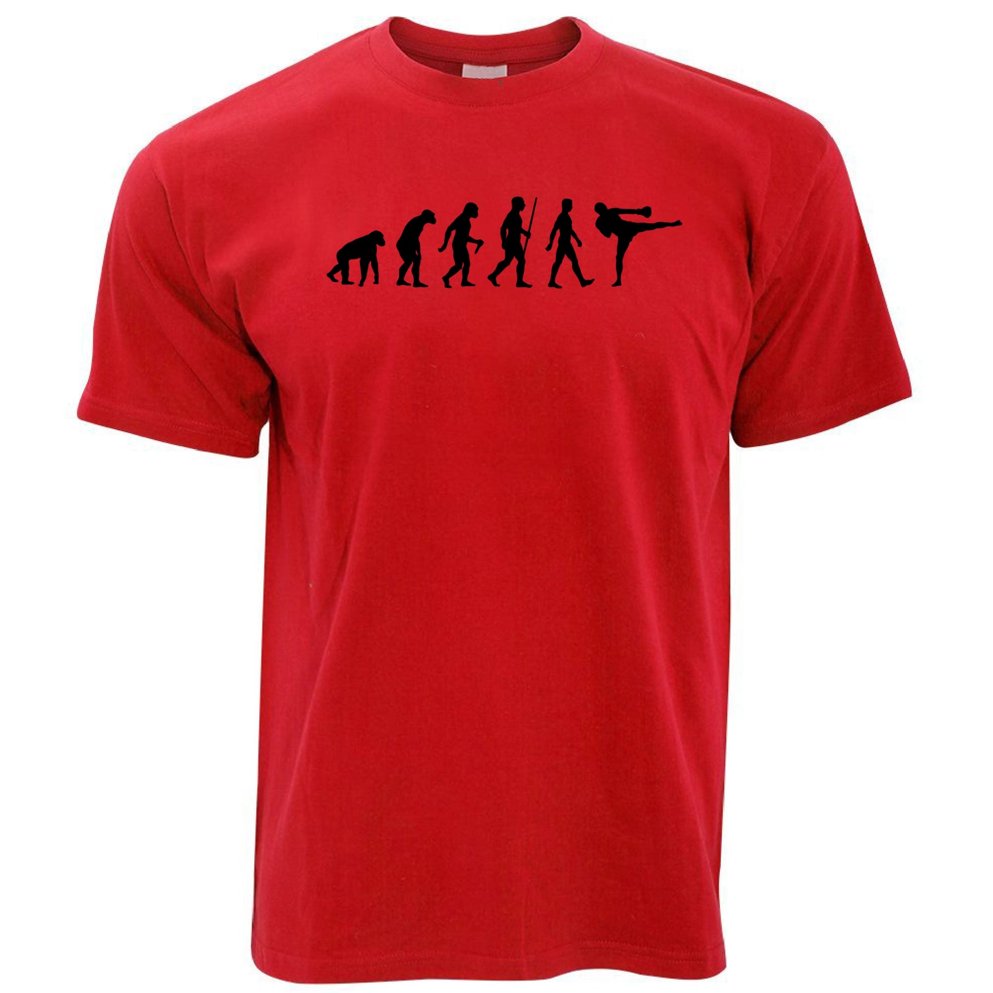 Kickboxing T Shirt The Evolution of Kickboxing