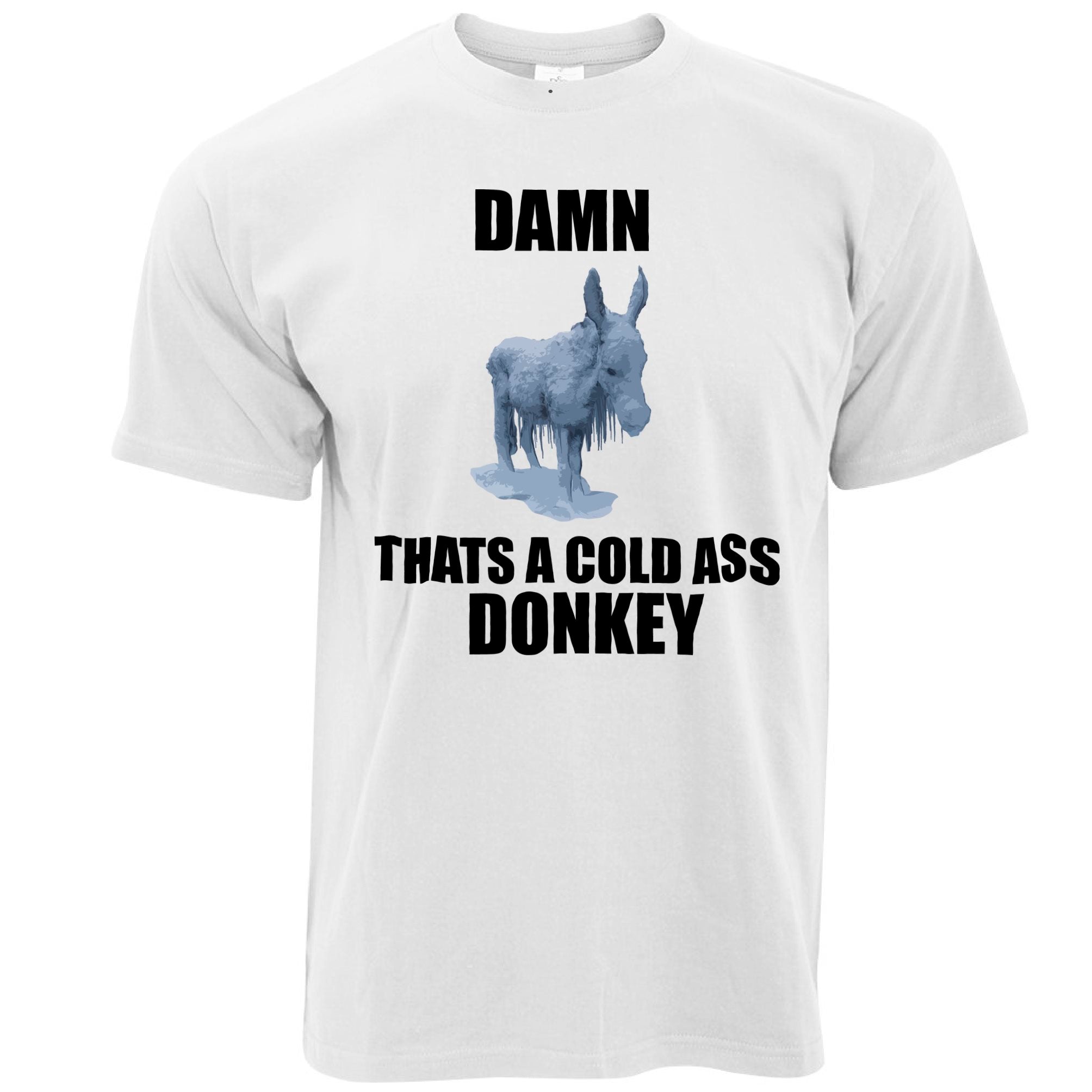 Music Parody T Shirt Damn, That's A Cold Ass Donkey