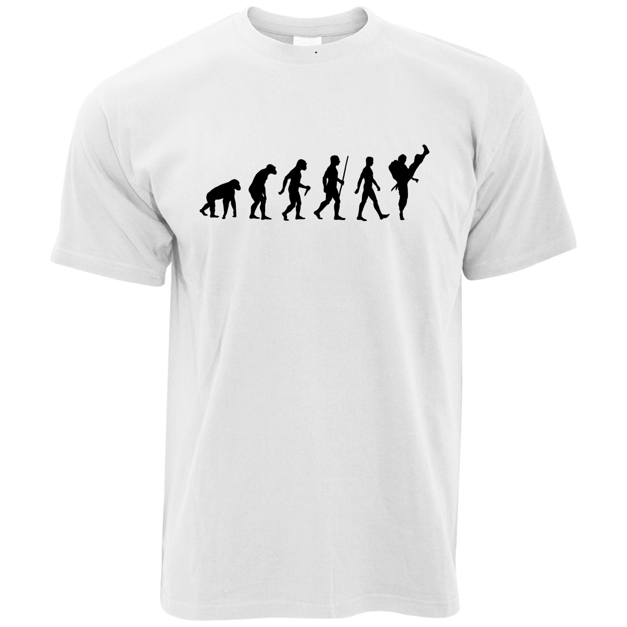 Martial Arts T Shirt The Evolution Of Karate