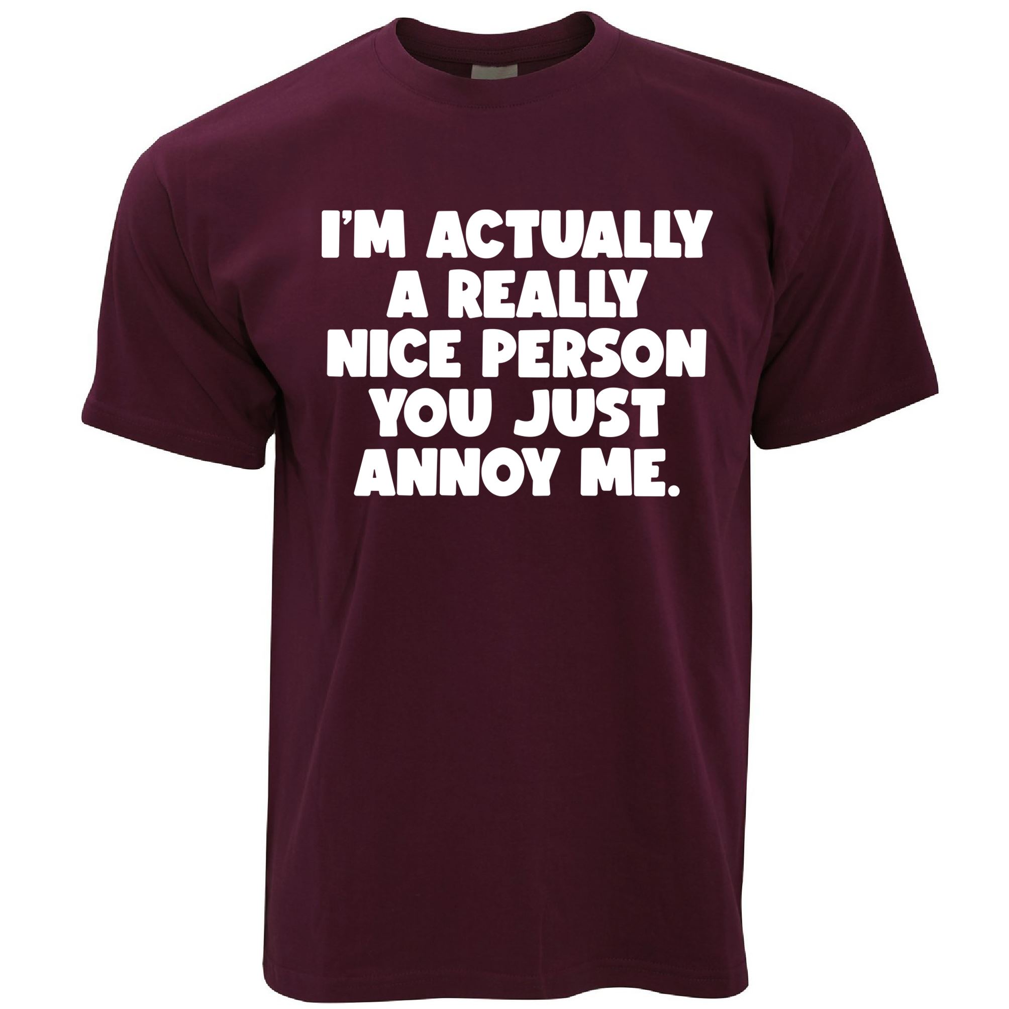 I'm A Nice Person T Shirt