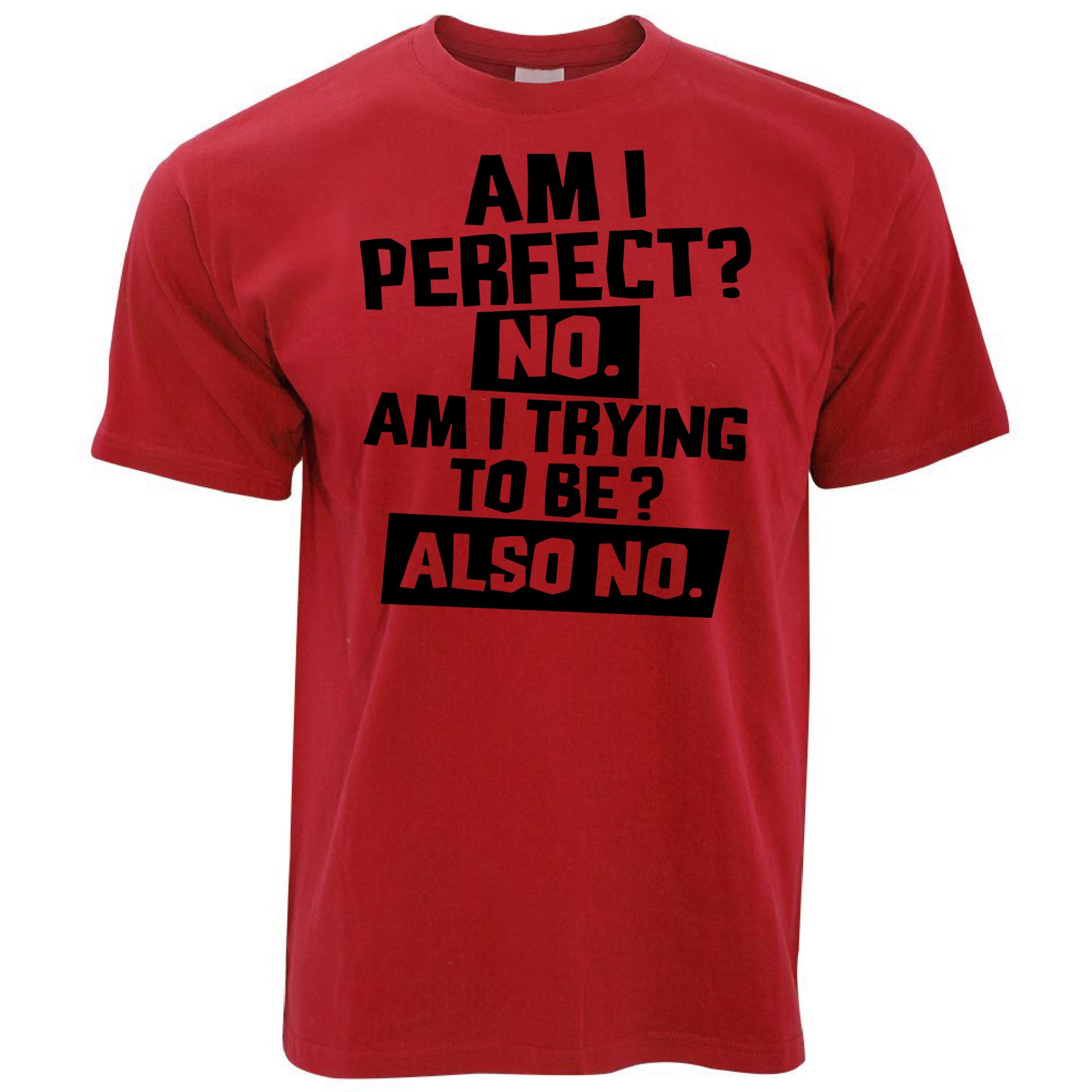 Am I Perfect T Shirt