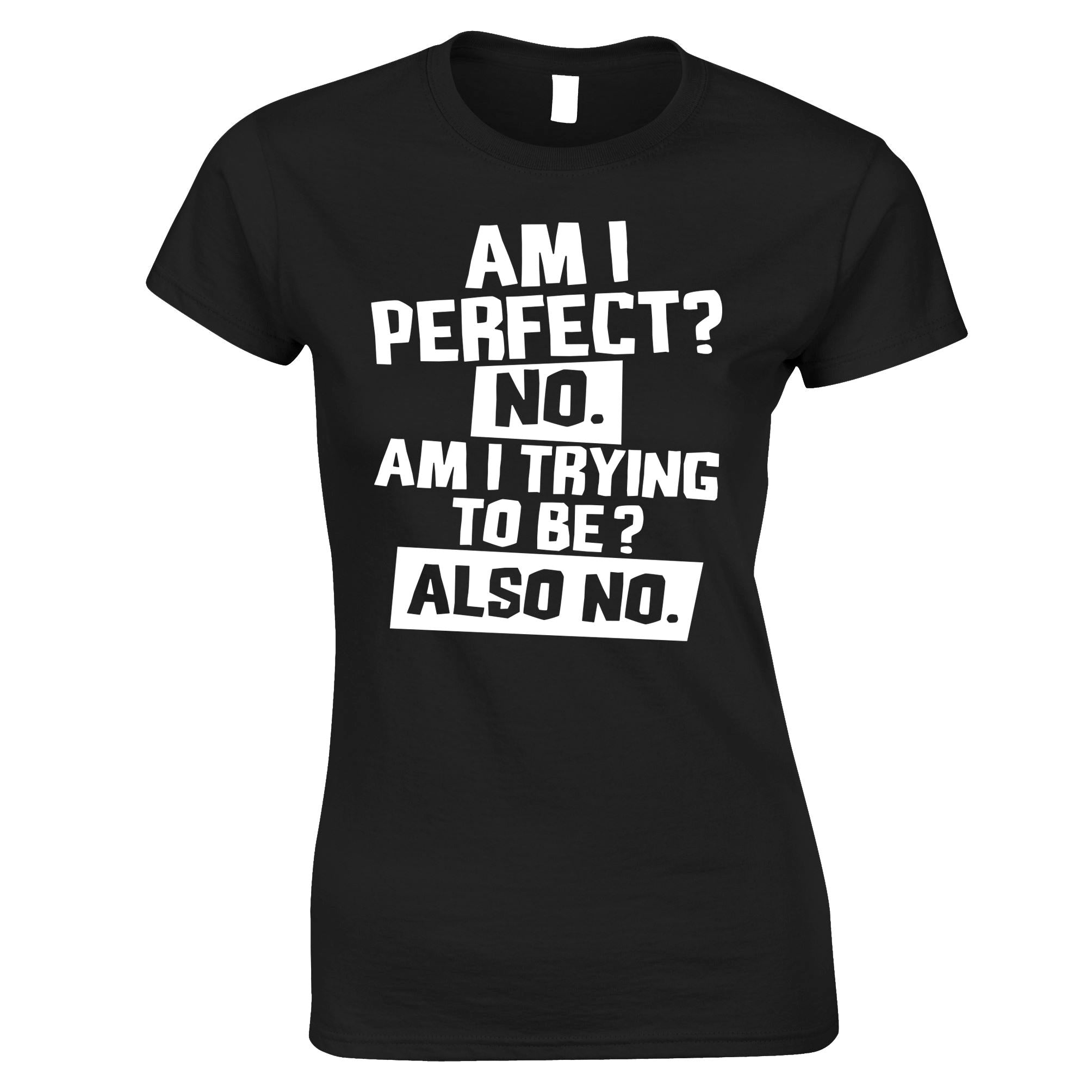 Am I Perfect Womens T Shirt