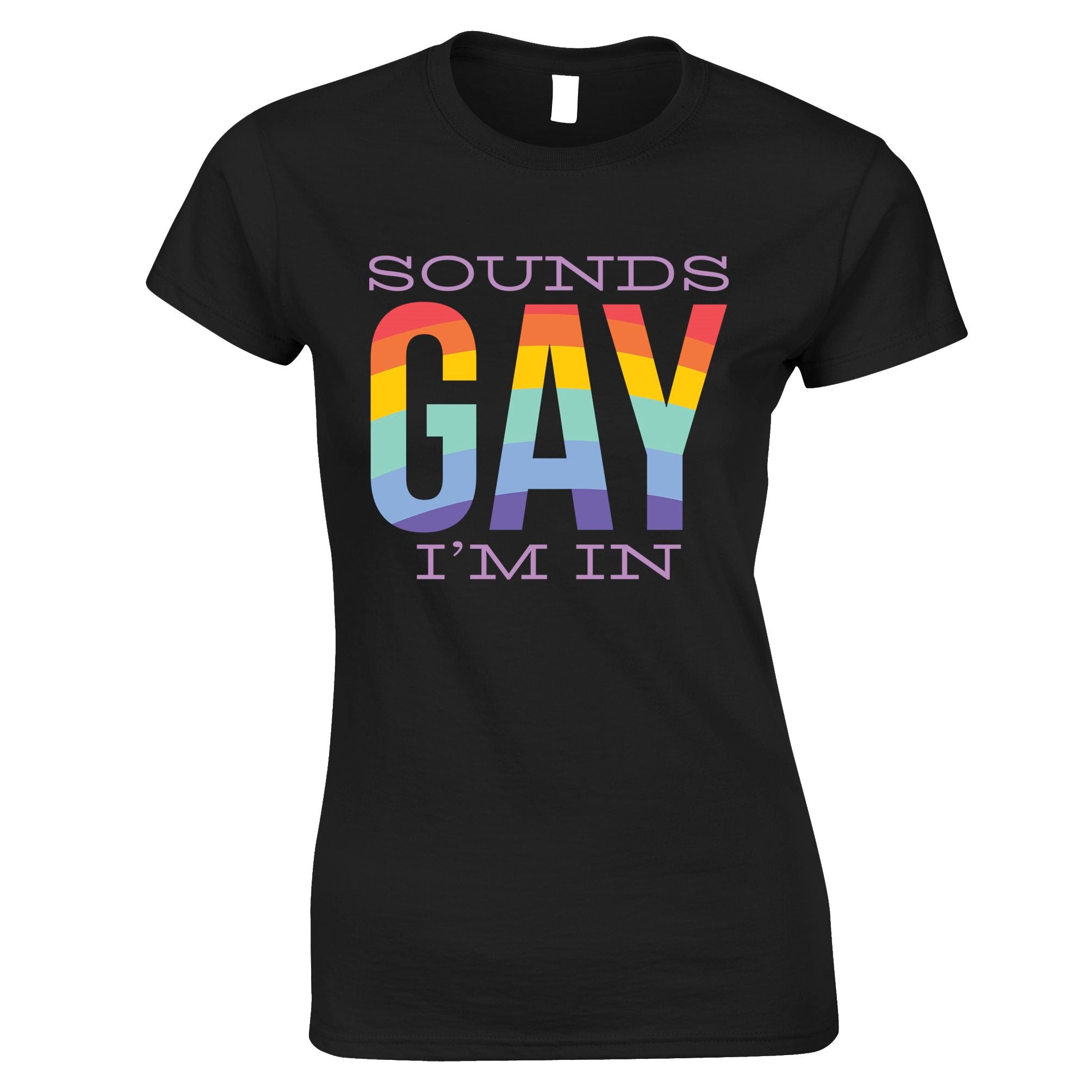 Pride Womens T Shirt Sounds Gay I'm In Rainbow