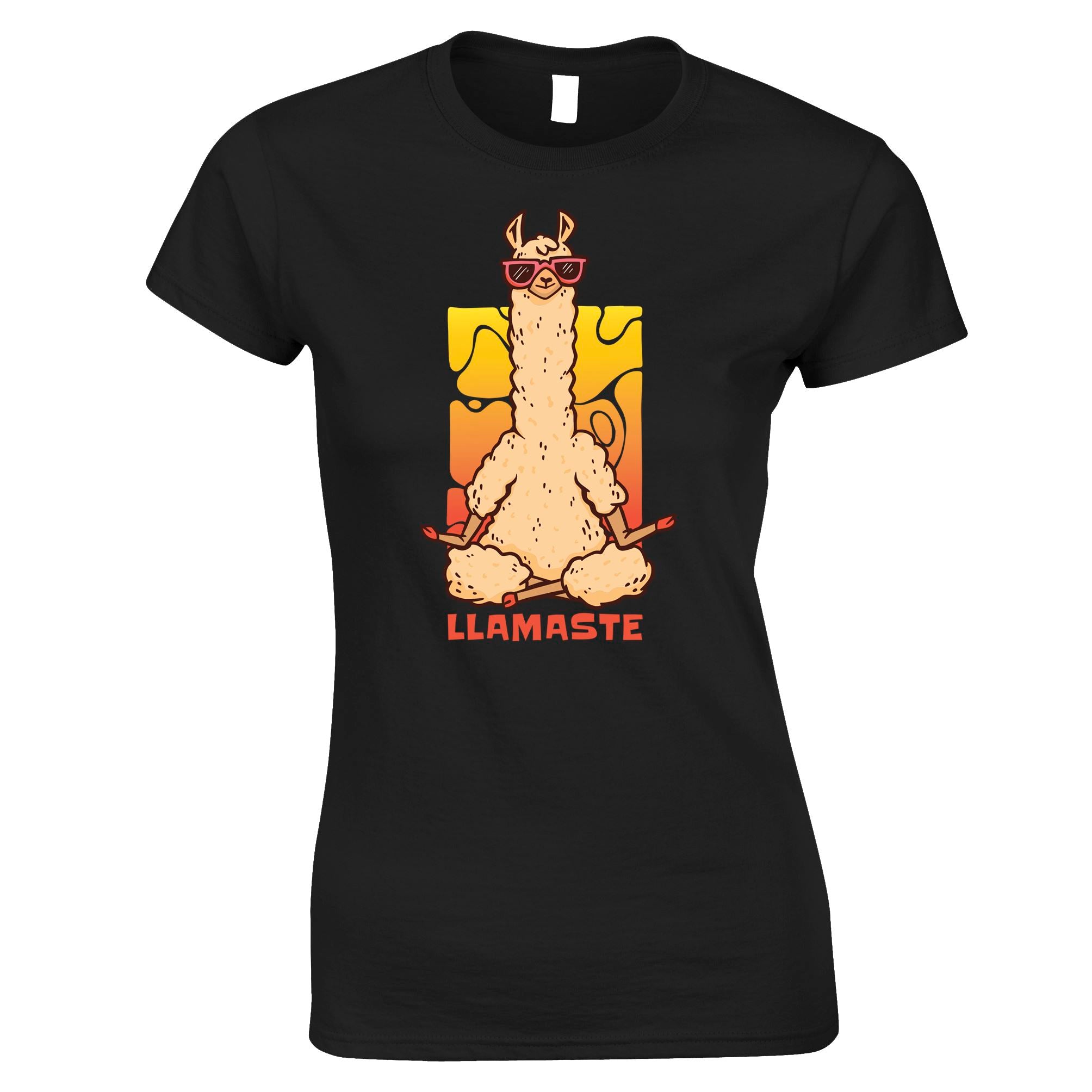 Llamaste Womens T Shirt