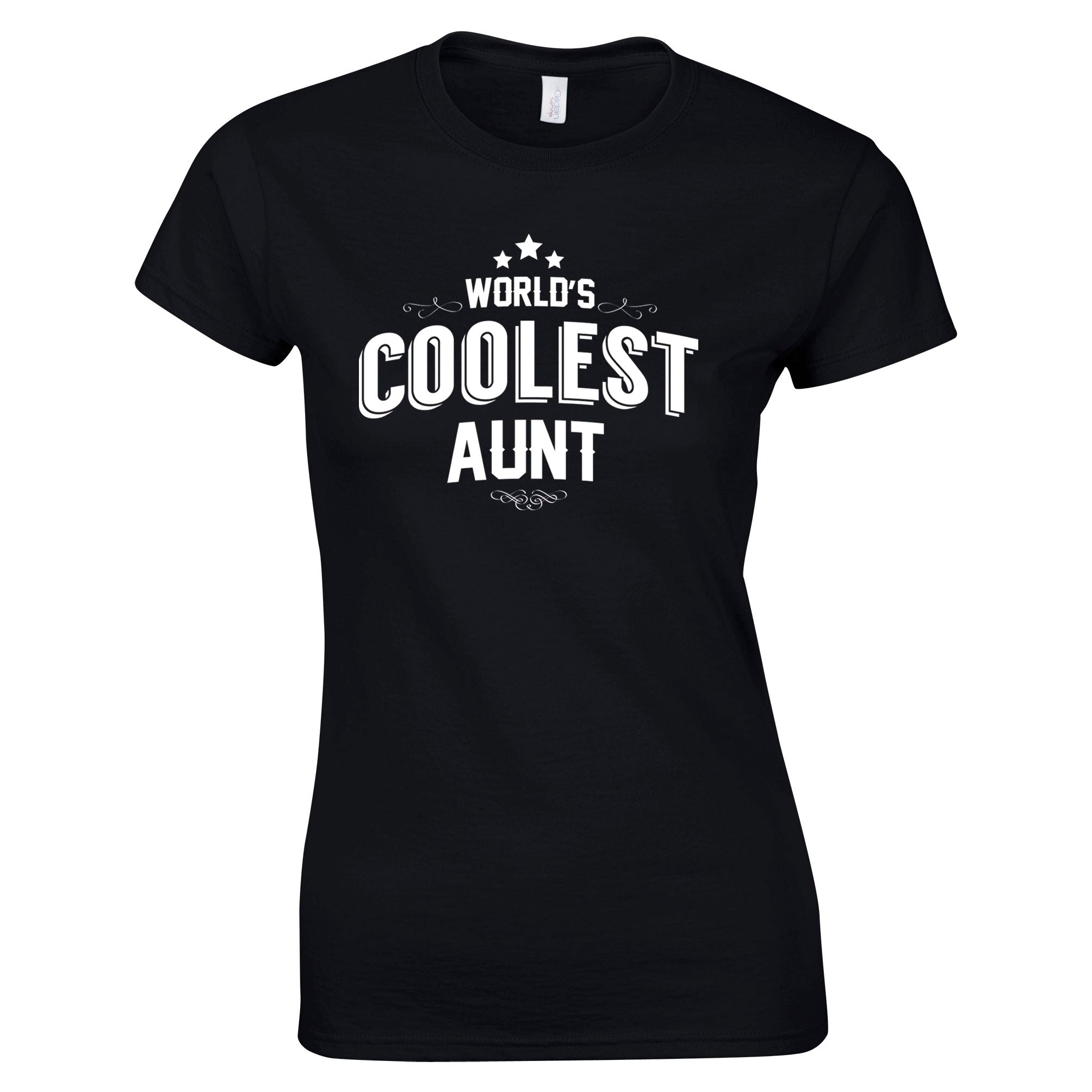 Novelty Womens T Shirt Worlds Coolest Aunt Slogan