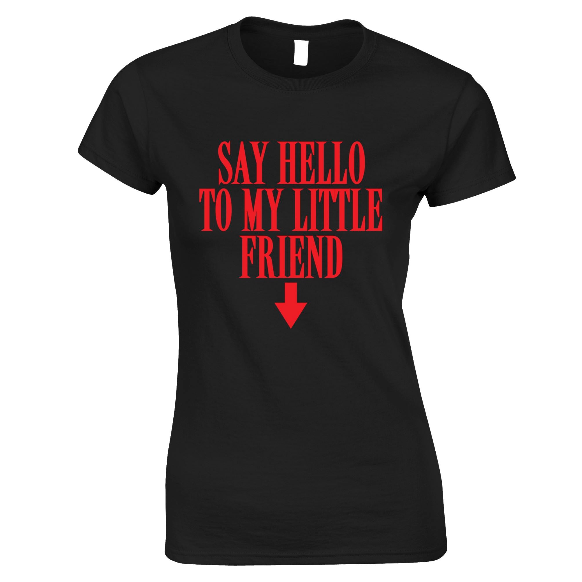 Say Hello To My Little Friend Rude Womens T Shirt