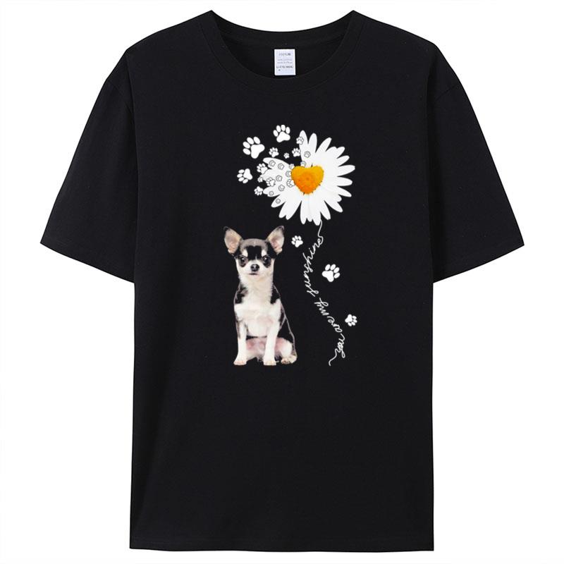 Chihuahua Daisy Flower You Are My Sunshine T-Shirt Unisex