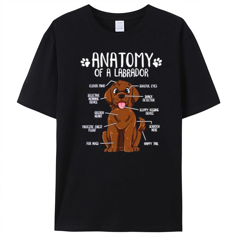 Funny Chocolate Labrador Dog Anatomy T-Shirt Unisex