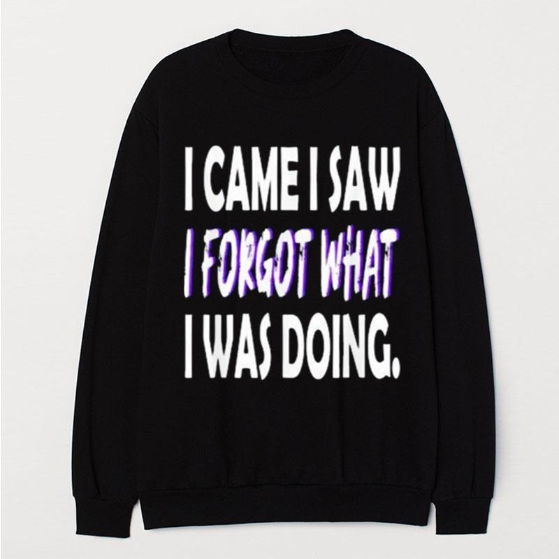 I Came I Saw I Forgot What I Was Doing T-Shirt Unisex