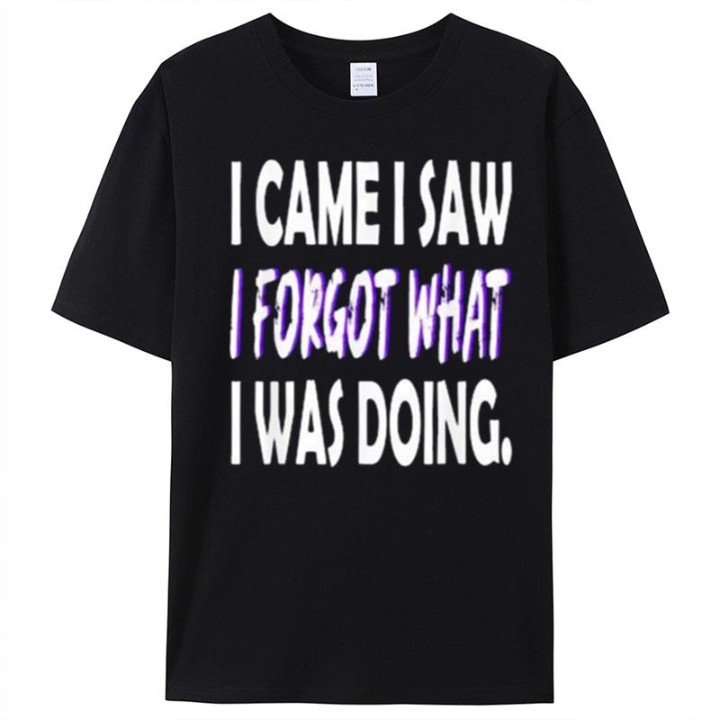 I Came I Saw I Forgot What I Was Doing T-Shirt Unisex