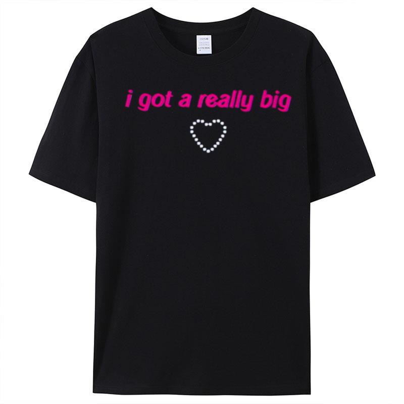 I Got A Really Big T-Shirt Unisex