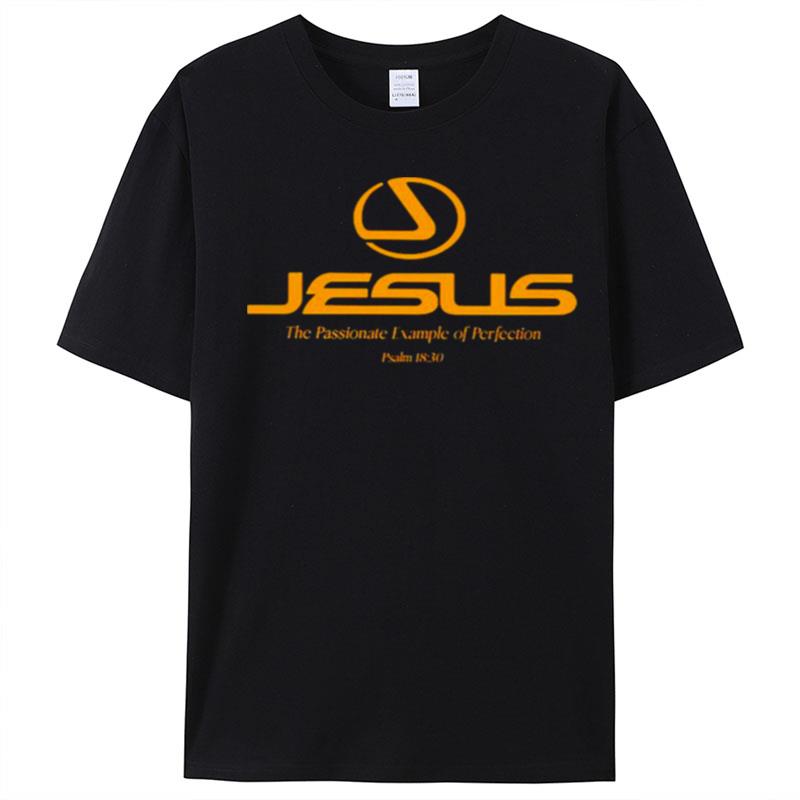 Jesus The Passionate Example Of Perfection T-Shirt Unisex